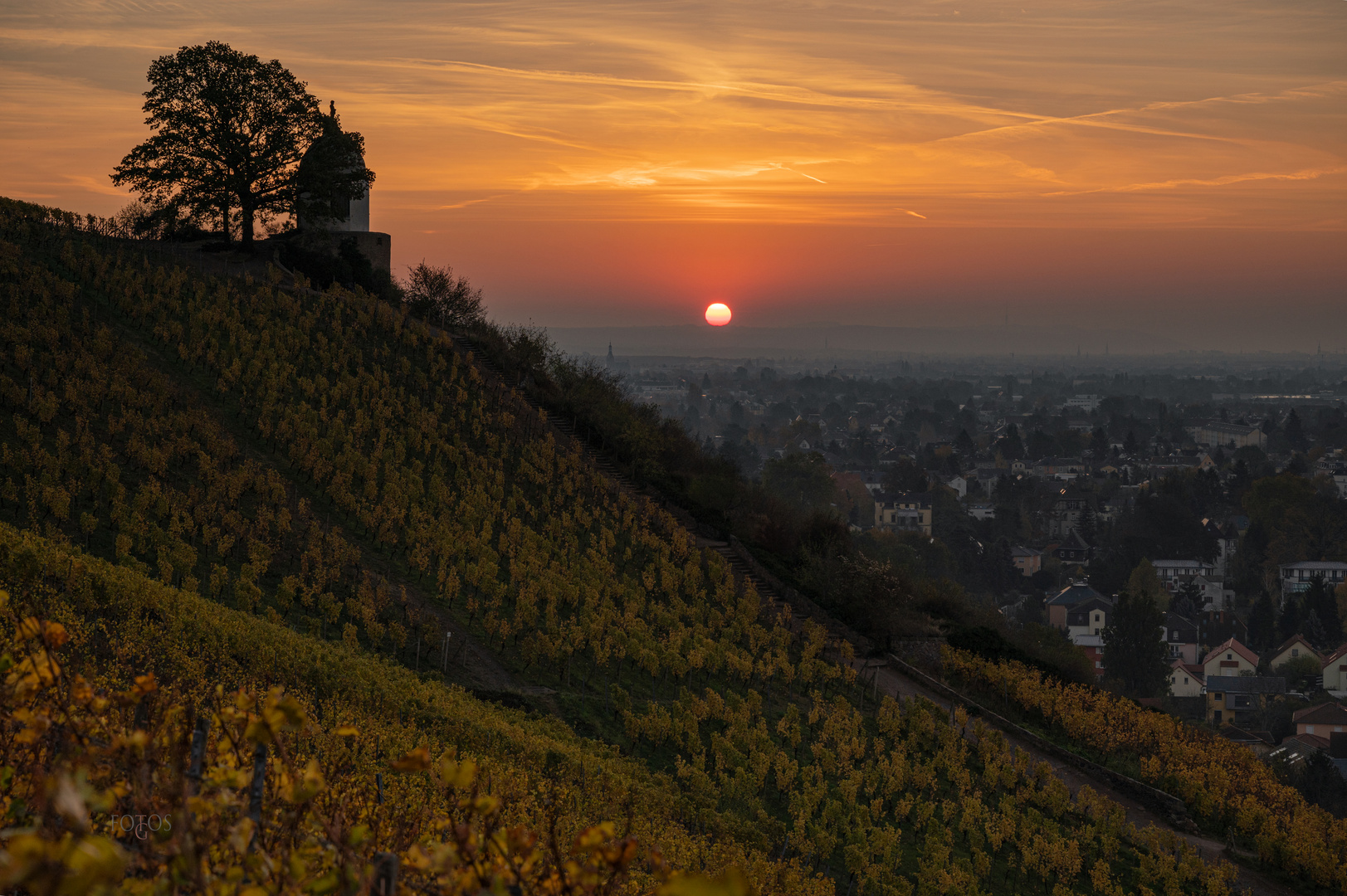 Radebeul - Sonnenaufgang über Schloss Wackerbarth