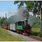 Radebeuler Traditionszug bei Cunnertswalde