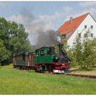 Radebeuler Traditionszug in Dippoldiswalde