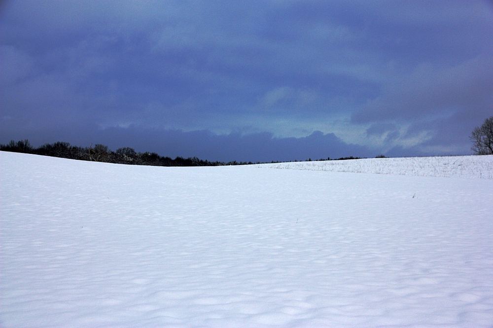 Radeburger Kleinkuppenlandschaft im Winter