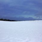 Radeburger Kleinkuppenlandschaft im Winter