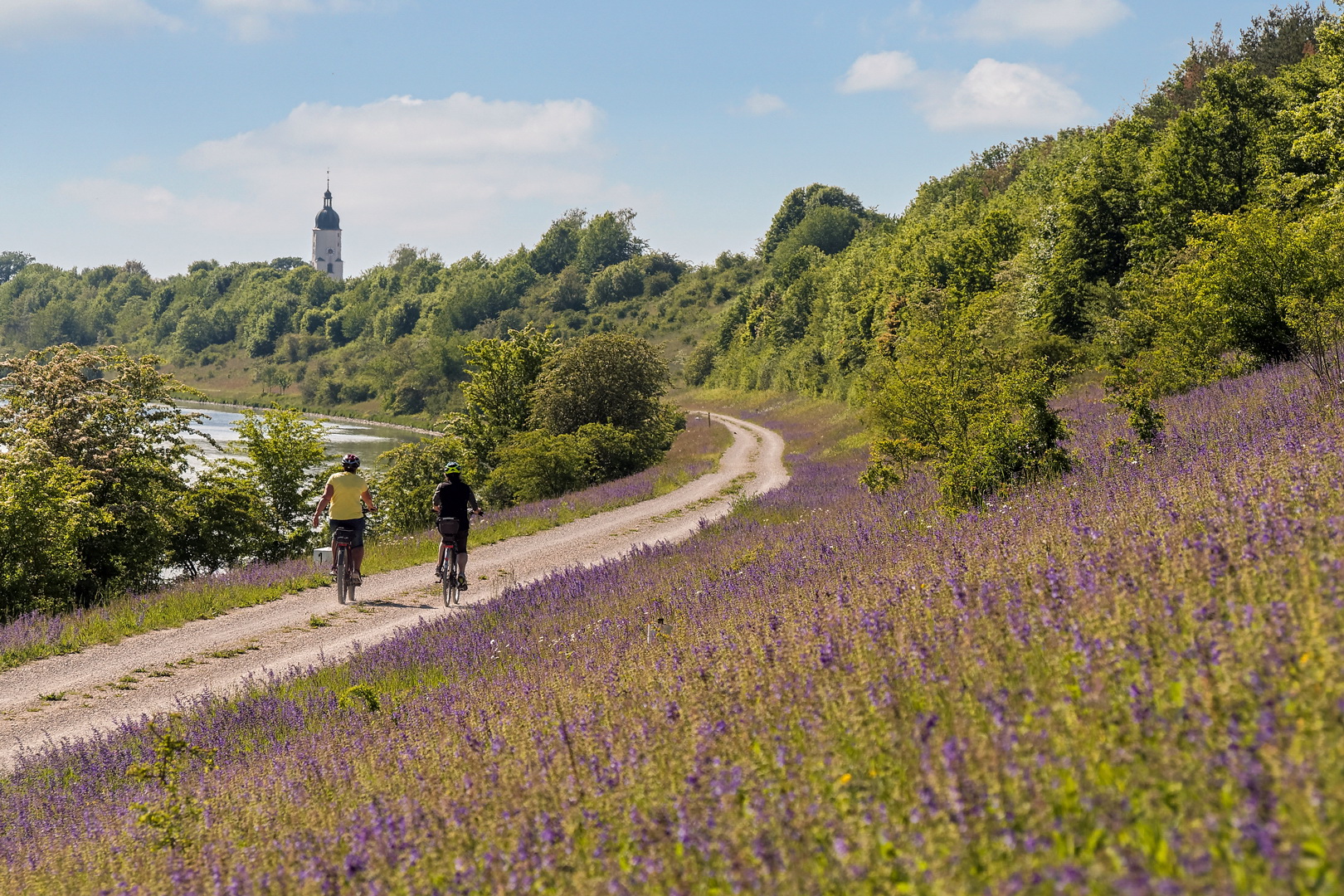 Radeln am Neuen Kanal