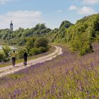 Radeln am Neuen Kanal