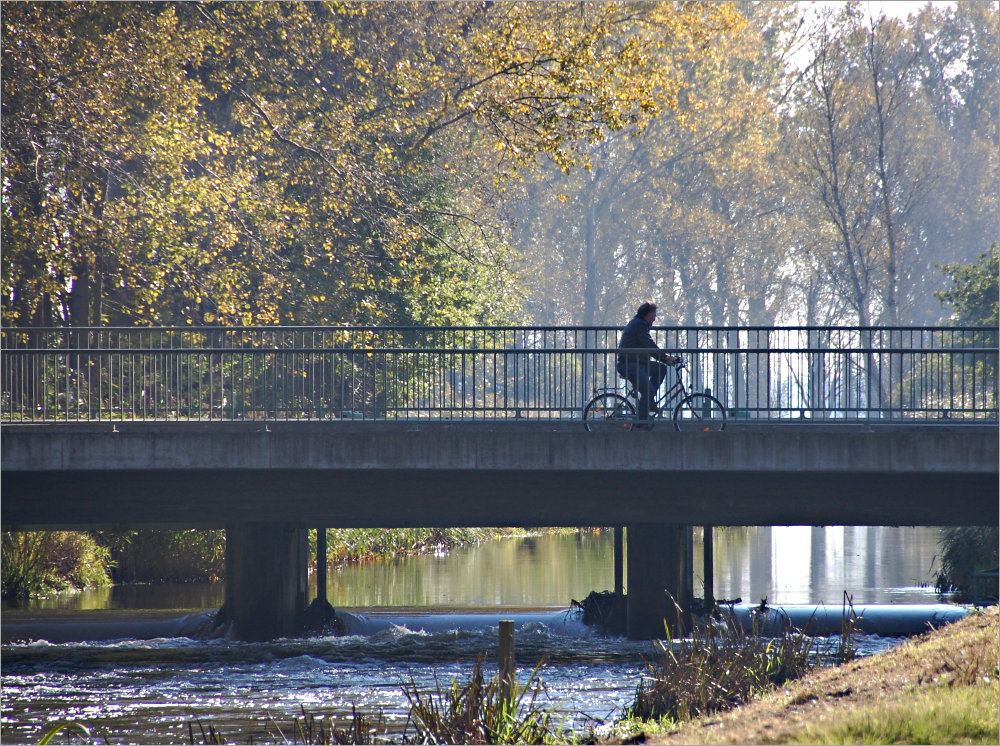 Radeln im Herbst