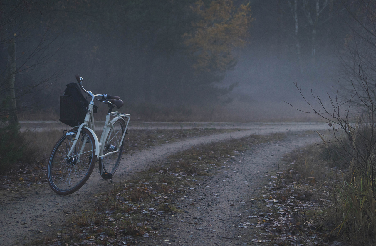 Radeln im Nebel