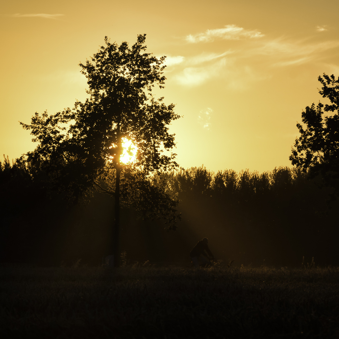 Radeln im Sonnenuntergang