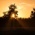 Radeln im Sonnenuntergang