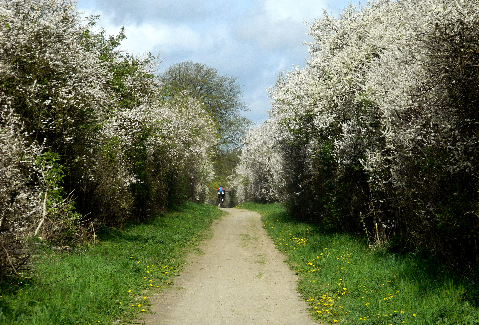 Radeln in den Frühling