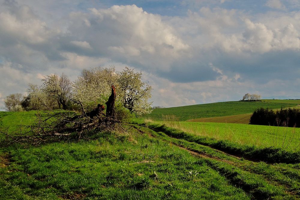 Radeln nach Laehn/Wlen