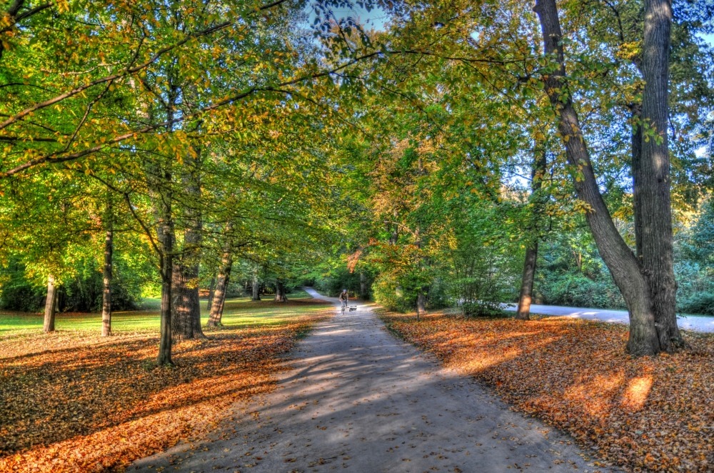 Radelnd durch den Herbst