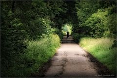 Radfahren am linken Niederrhein ....