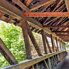 Radfahren auf der Stegbrücke in Siebnen