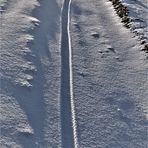 Radfahren bei Eiseskälte im Glitzerschnee