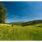 Radfahren im Glottertal