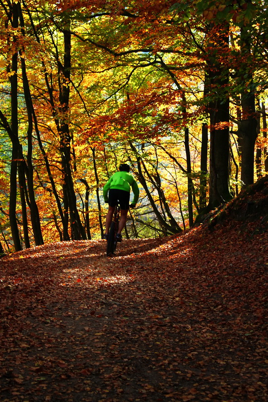 Radfahren im Herbst