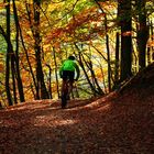 Radfahren im Herbst