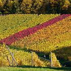 Radfahren im Herbst