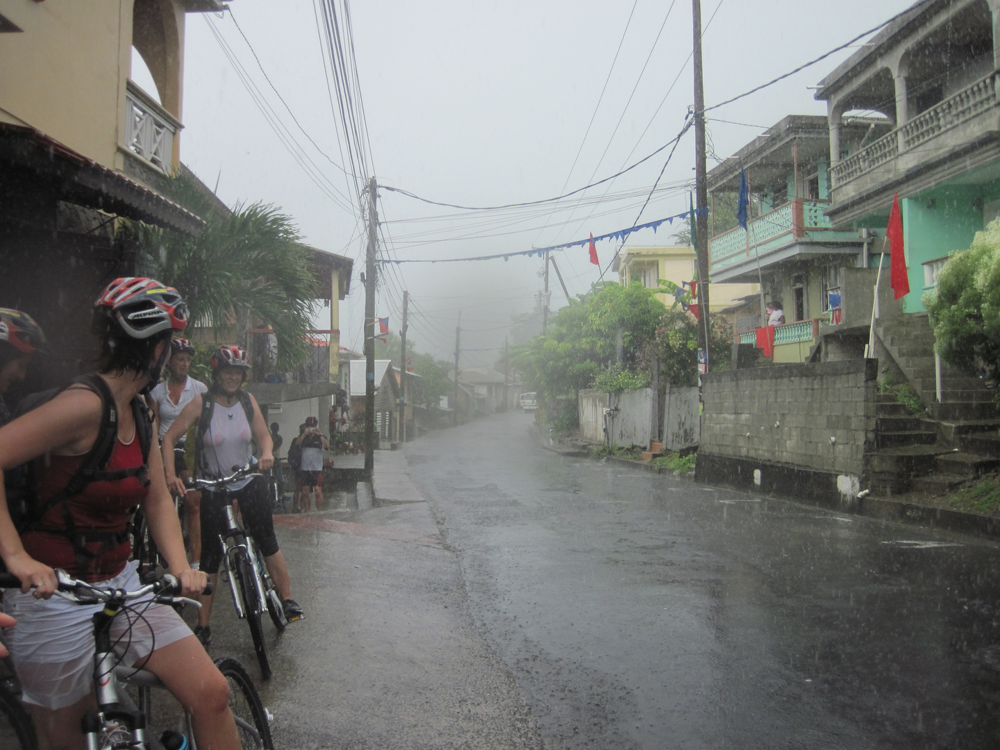 Radfahren im Regenwald von Dominica