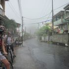 Radfahren im Regenwald von Dominica