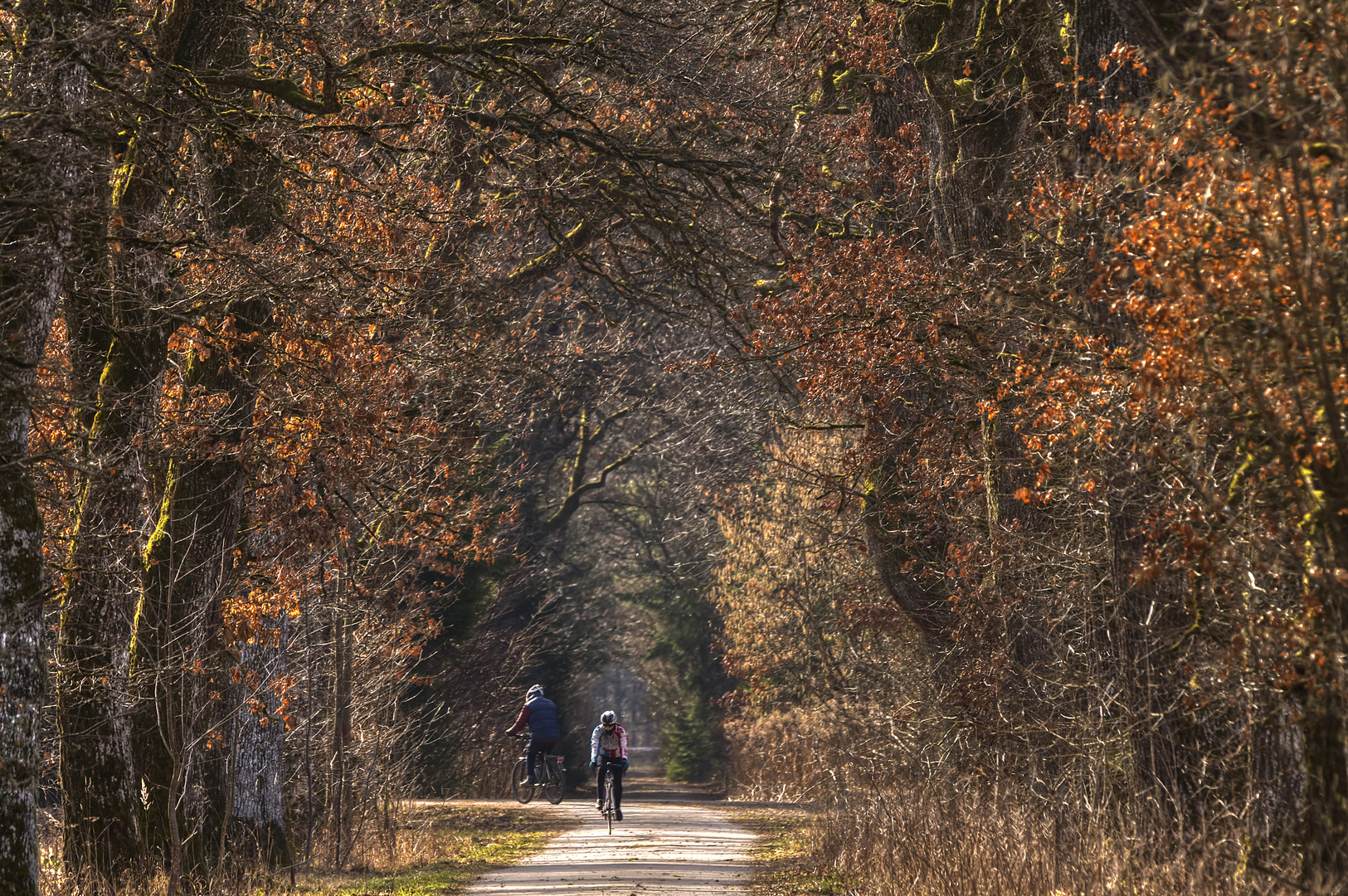 Radfahren in der Kathedrale