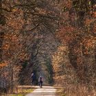 Radfahren in der Kathedrale