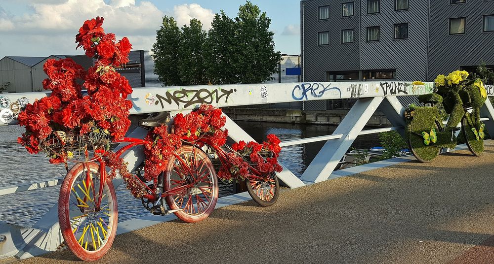 Radfahren in Holland