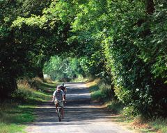 Radfahrer