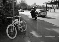 Radfahrer, 72 Jahre