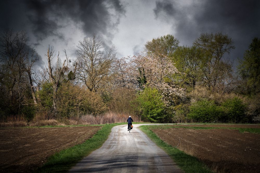 Radfahrer