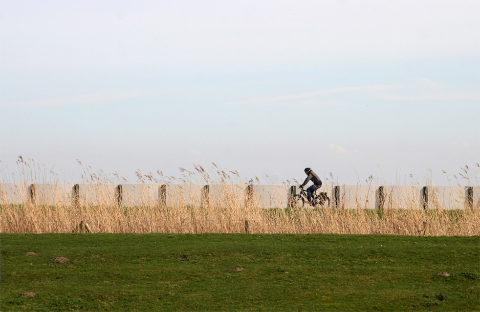 Radfahrer