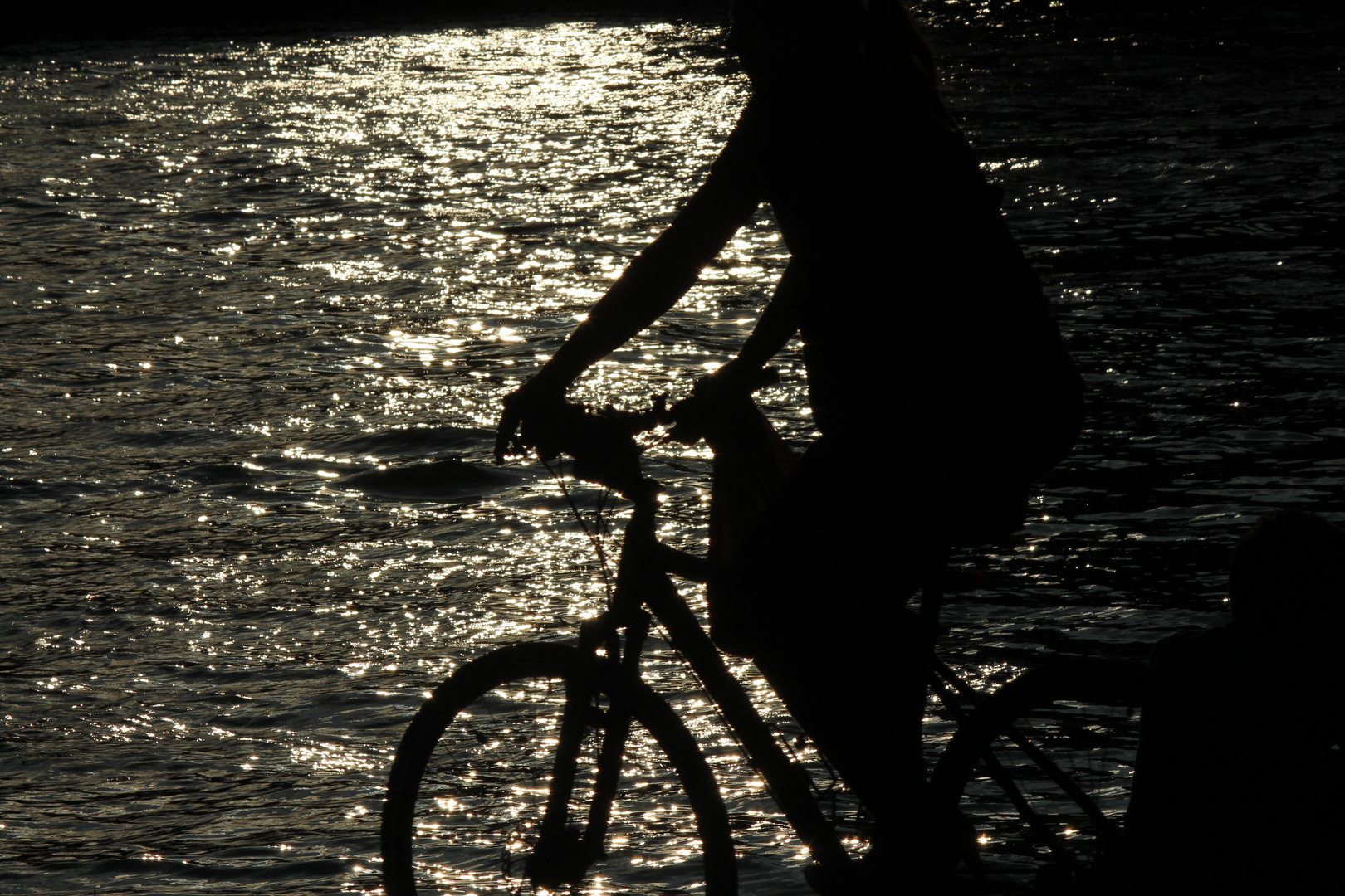 Radfahrer am Main im Sonnenuntergang