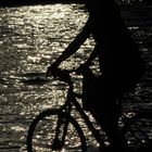 Radfahrer am Main im Sonnenuntergang