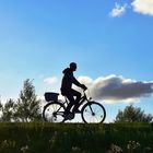 Radfahrer auf dem Deich