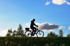 Radfahrer auf dem Deich