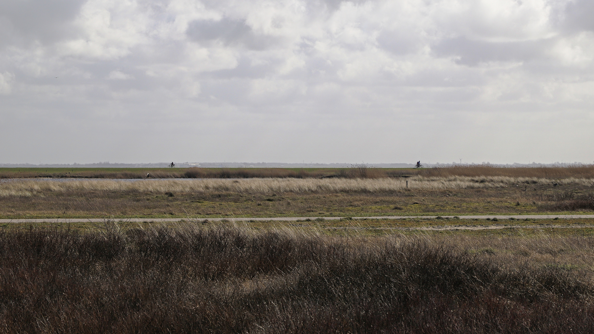 Radfahrer auf dem rückseitigen Deich auf Langeoog (2019_03_24_EOS 6D Mark II_1039_ji)