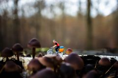 Radfahrer auf dem Waldweg