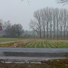 Radfahrer  auf der Strecke von Buchholz nach Wilstedt