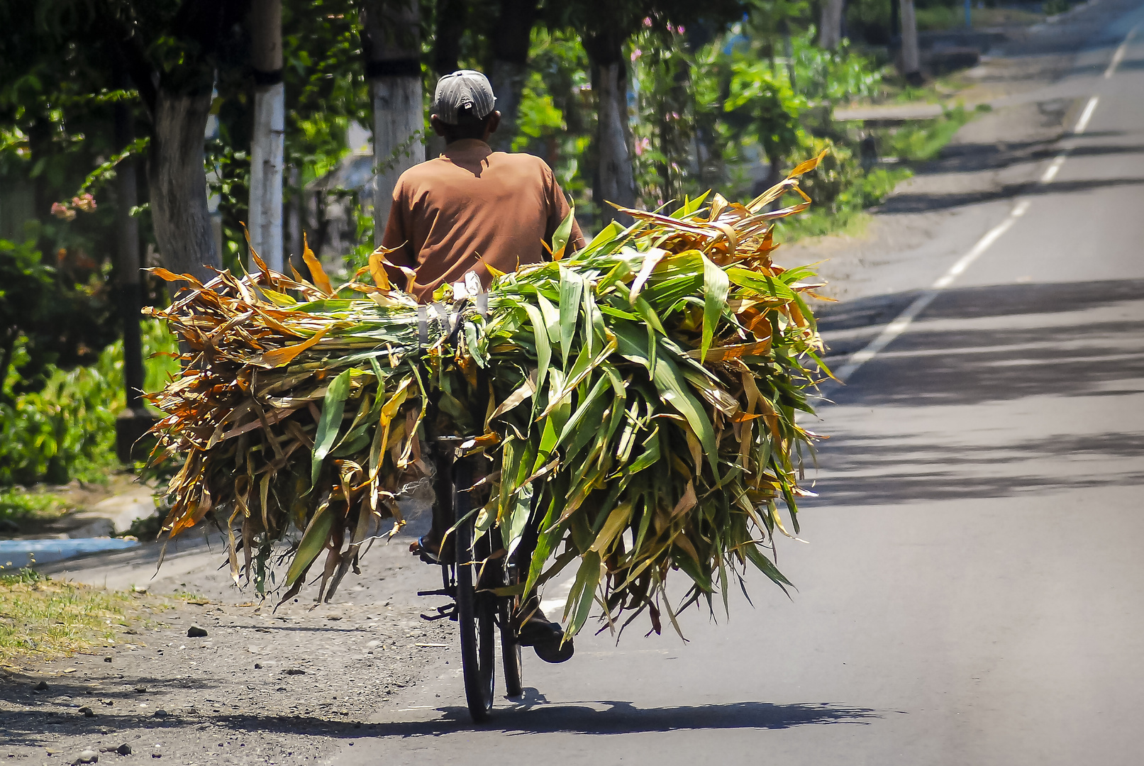 Radfahrer auf Java