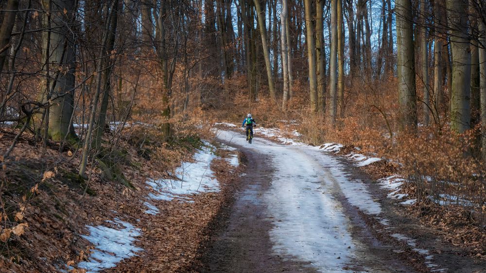 Radfahrer