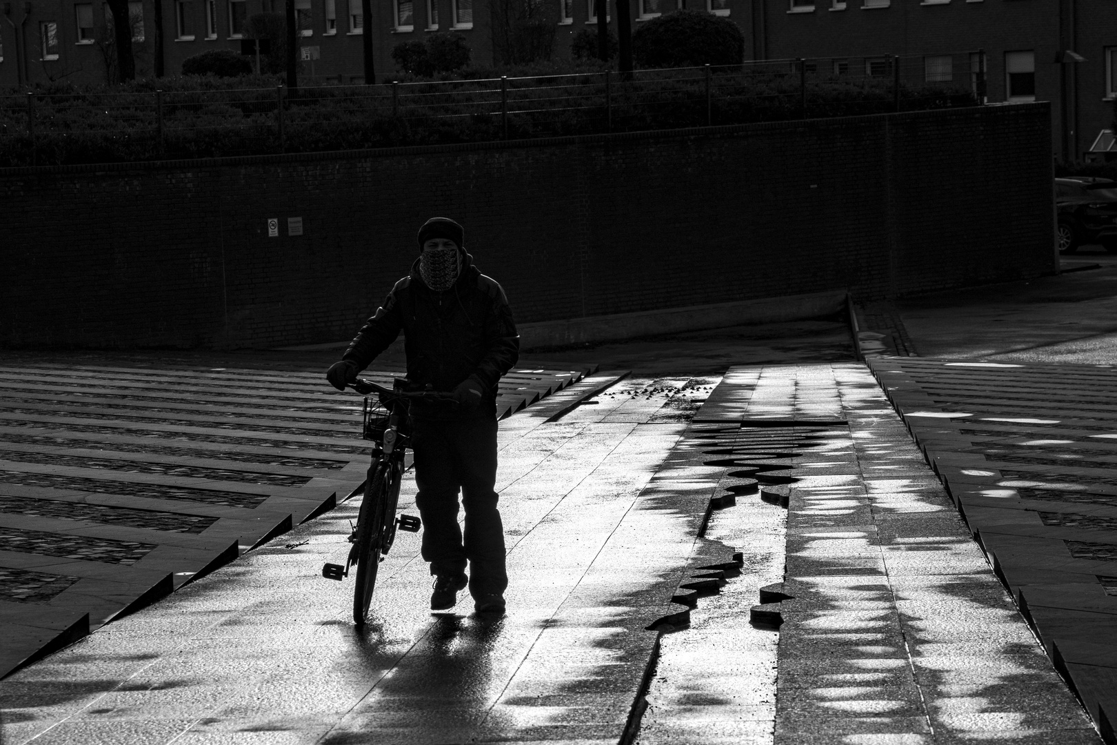 Radfahrer Gegenlicht