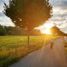 Radfahrer im Abendlicht