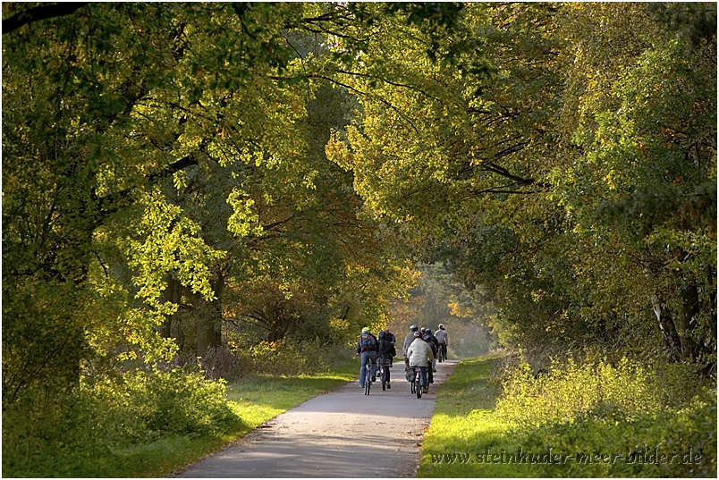 Radfahrer im Herbst in Mardorf am Steinhuder Meer