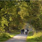 Radfahrer im Herbst in Mardorf am Steinhuder Meer