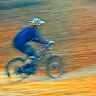 Radfahrer im Herbstwald