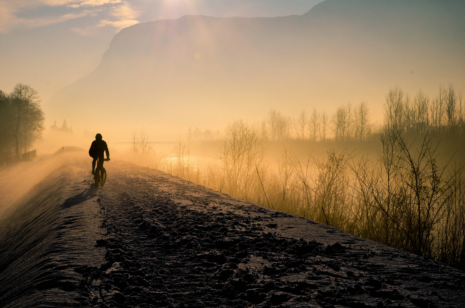 Radfahrer im Nebel...