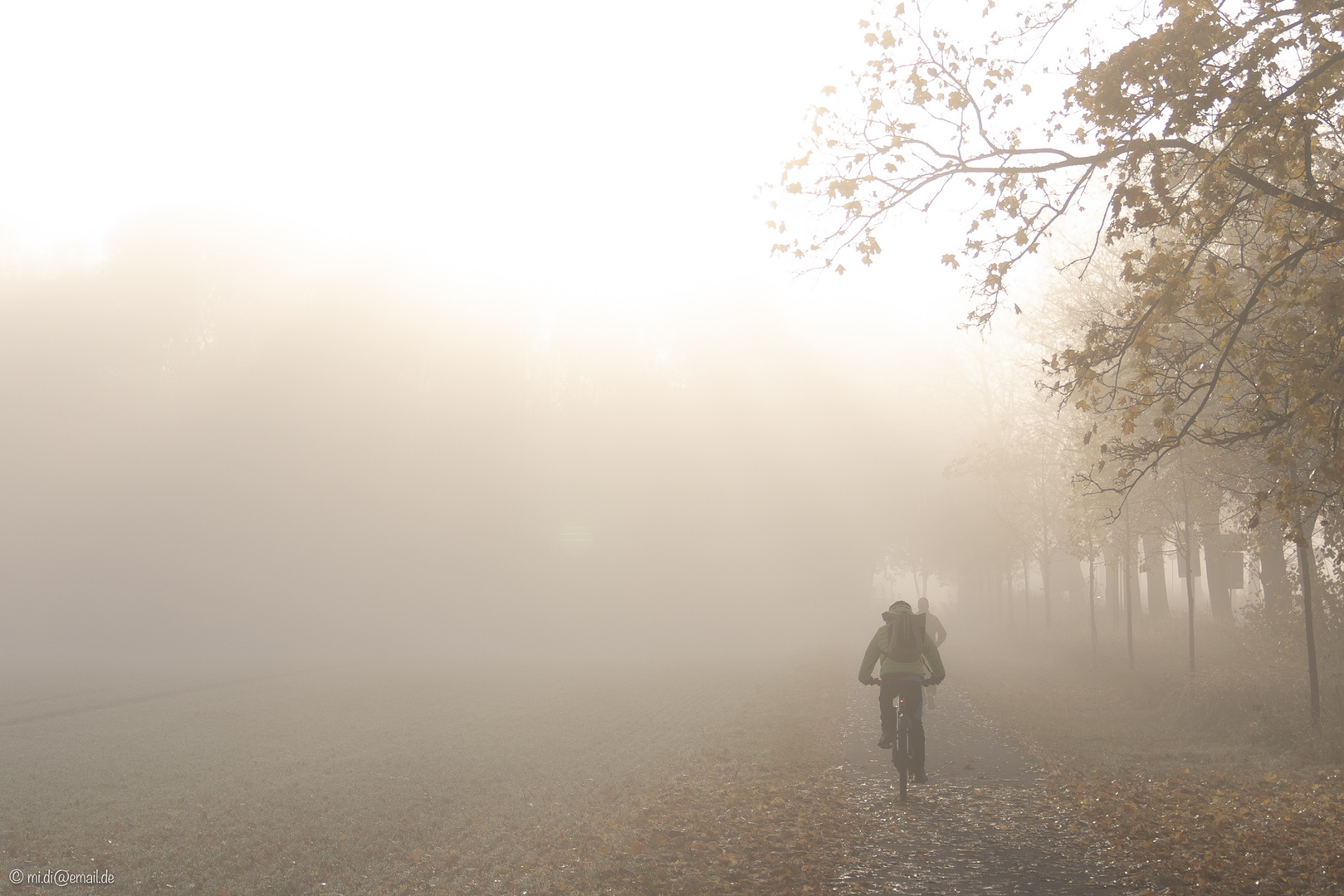 Radfahrer im Novembernebel