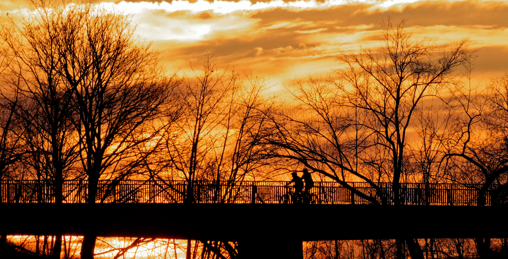 Radfahrer im Sonnenuntergang