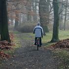 Radfahrer im Stadtpark Forst / Niederlausitz