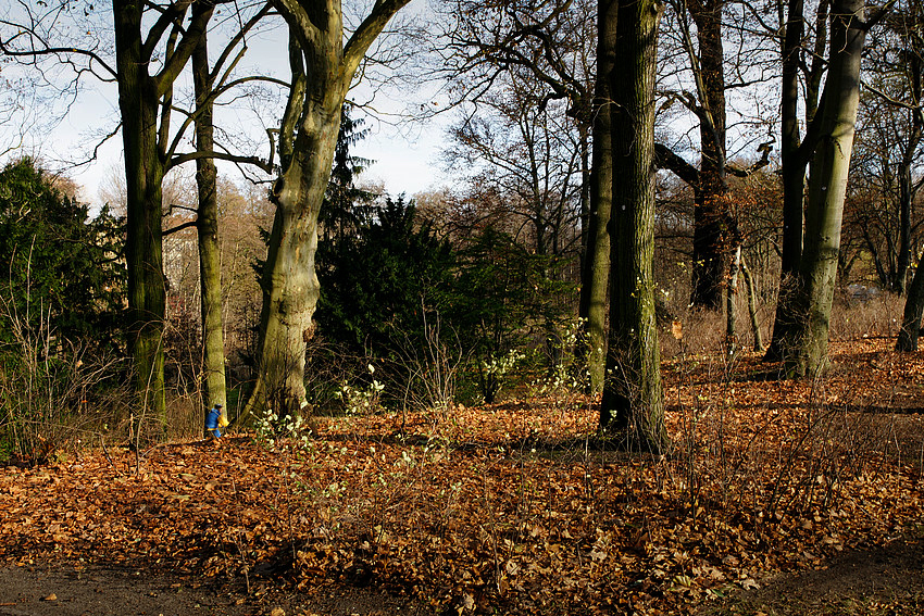 Radfahrer in Novembersonne