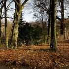 Radfahrer in Novembersonne